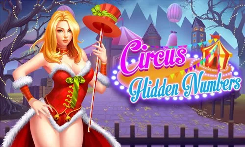 Circus Hidden Numbers